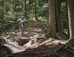 Mountainbikerin meistert eine anspruchsvolle Wurzelpassage auf einem steilen Waldtrail mit ihrem Downhill-Bike. | © Karin Pasterer