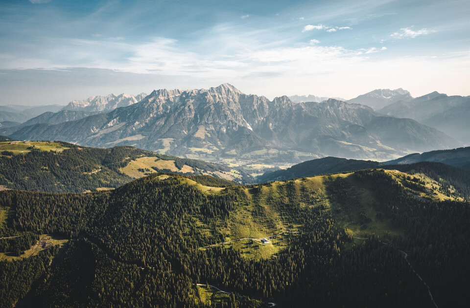 Sommerlandschaft | © Michael Geißler