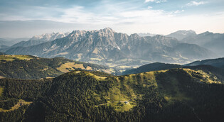 Sommerlandschaft | © Michael Geißler