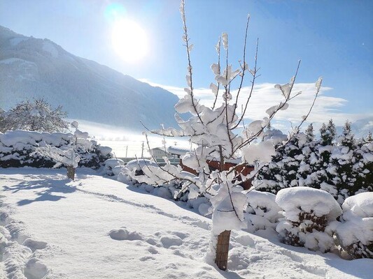 Winterlandschaft